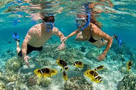 Mnemba Island Snorkeling